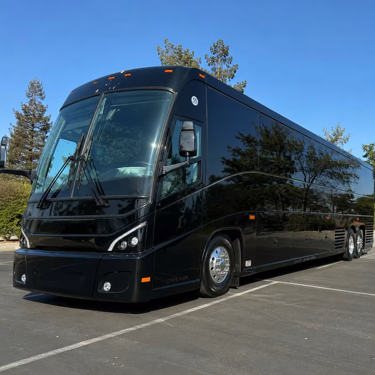 corporate sports team and group travel out of savannah made simple