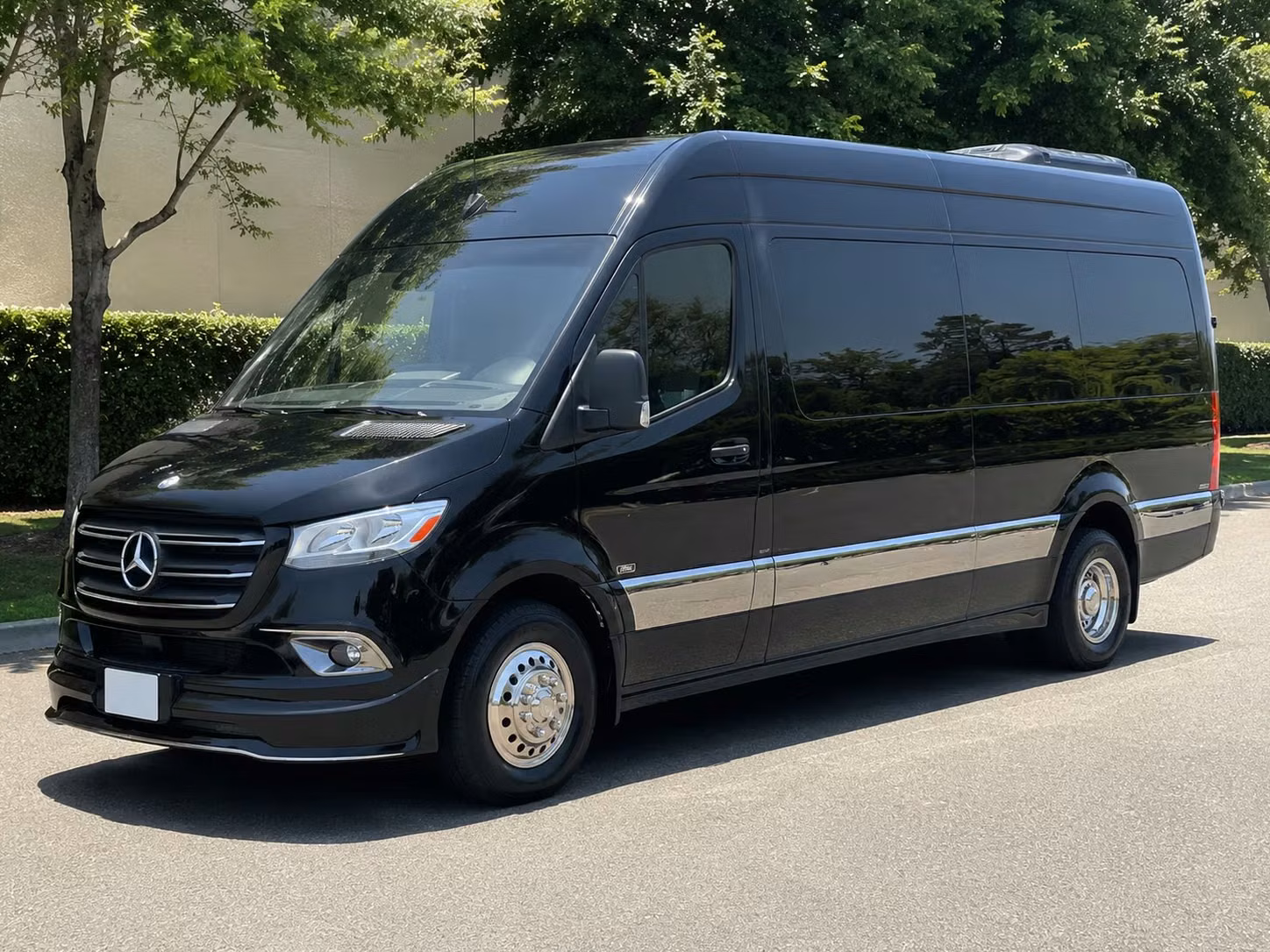 sprinter van with driver
